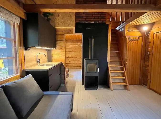 Black Work Levi Autti 샬레 Kittilä